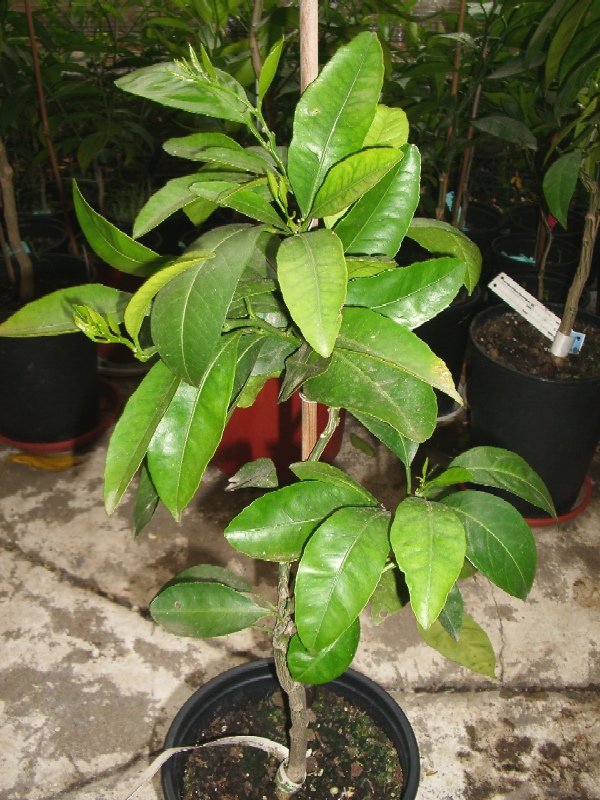 2009-03-30-1.jpg