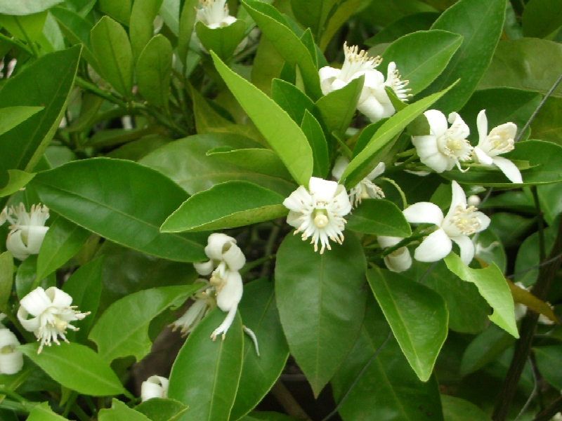 2010-03-30.JPG