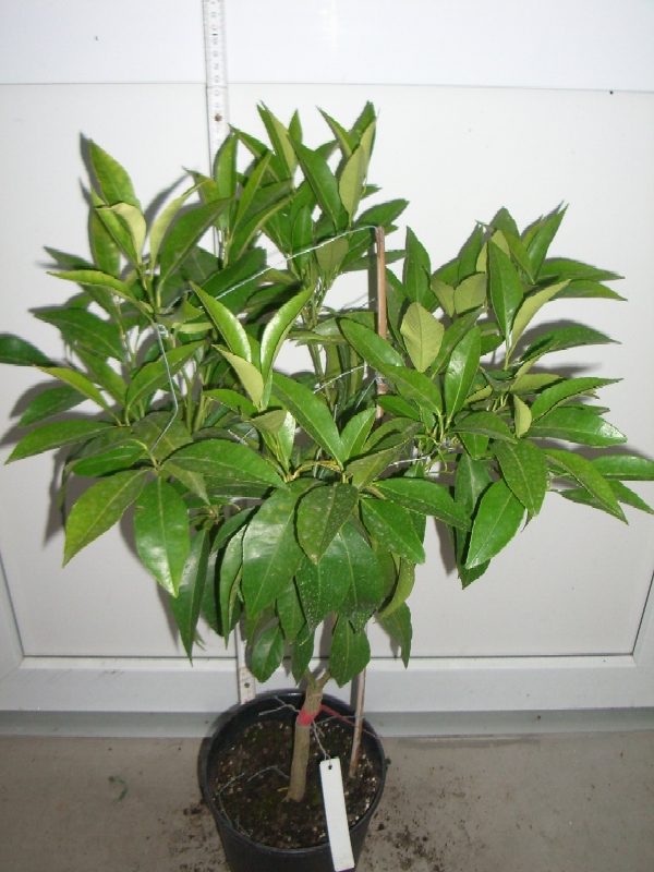 2009-10-02.JPG