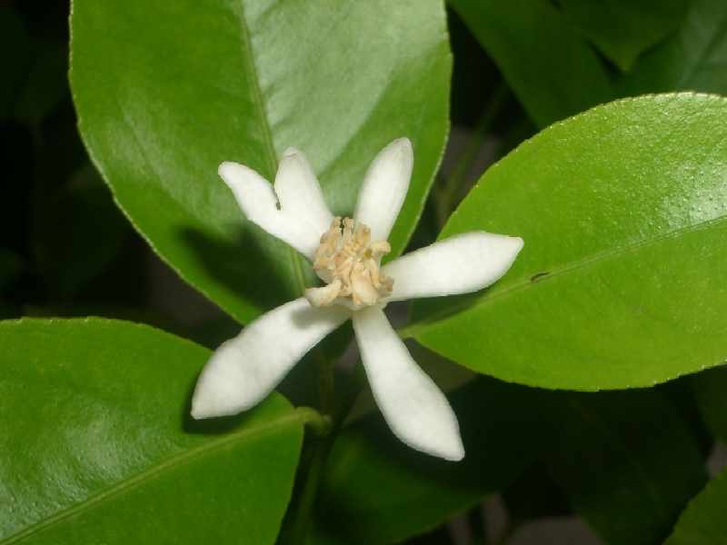 2010-04-16.JPG