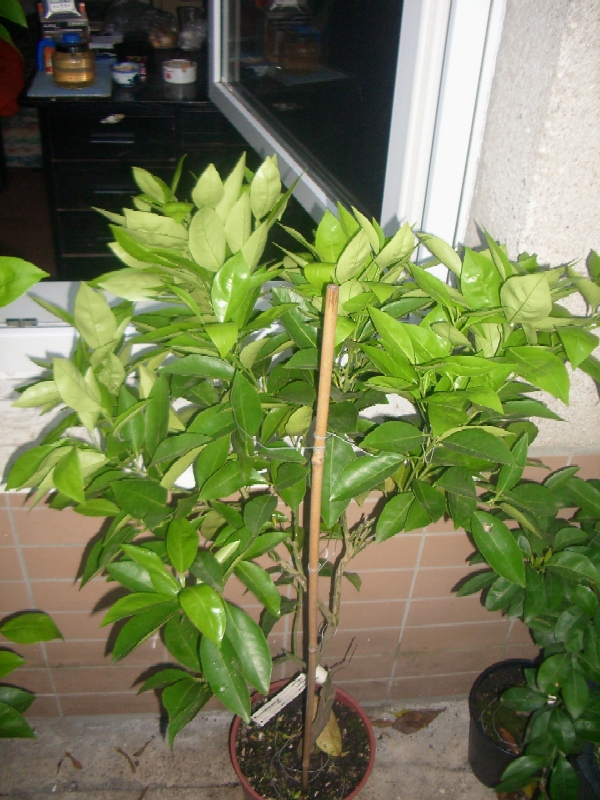 2010-04-11-2s.JPG