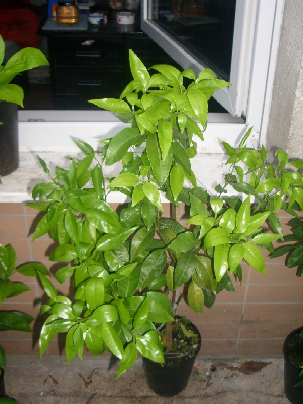 2010-04-10.JPG