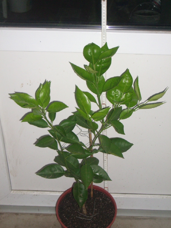 2010-04-29.JPG