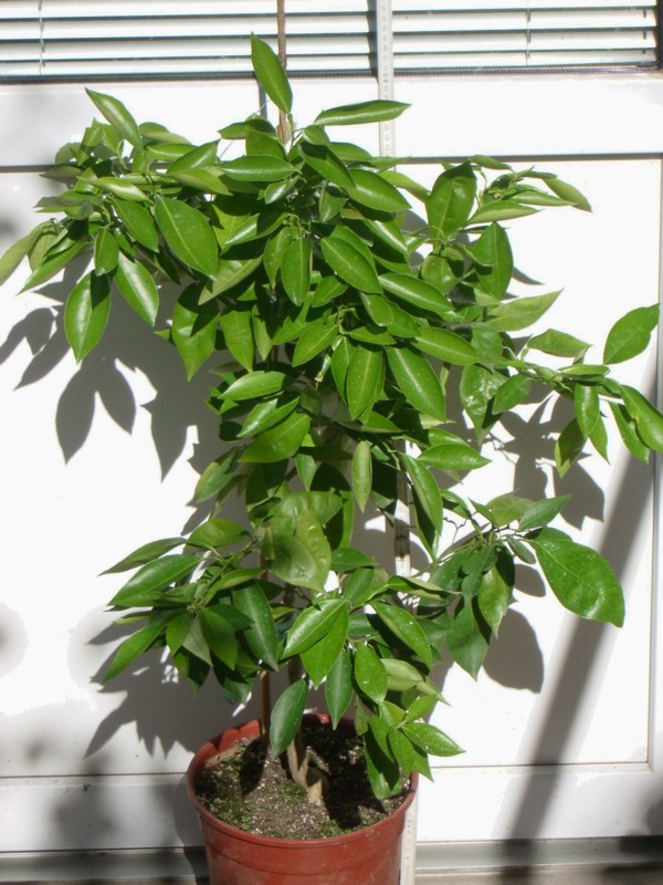 2010-08-29.JPG