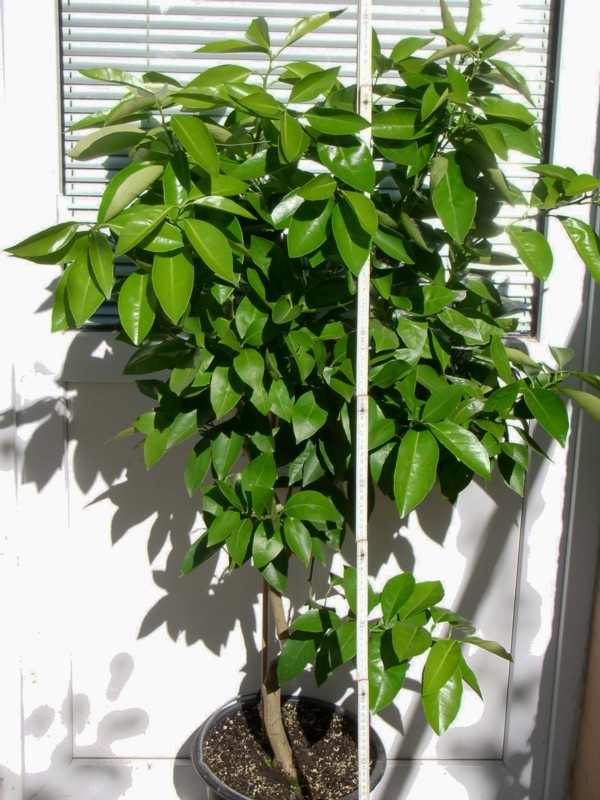 2010-08-29.jpg