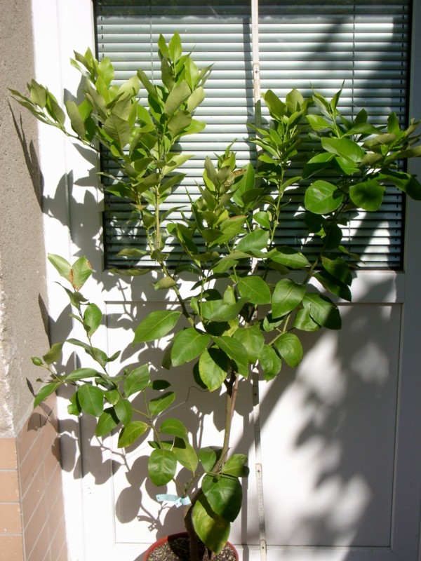 2010-09-06-c.jpg