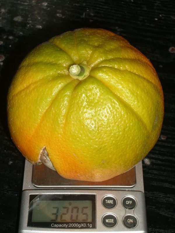 2011-10-23-p