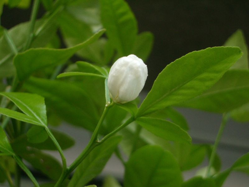 2012-03-23-K
